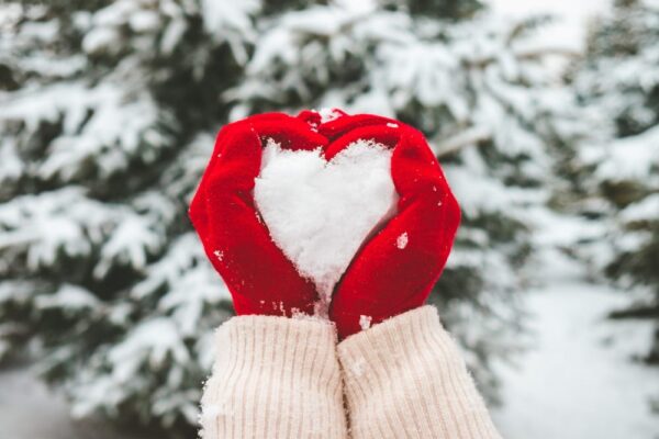 Zodiile în februarie